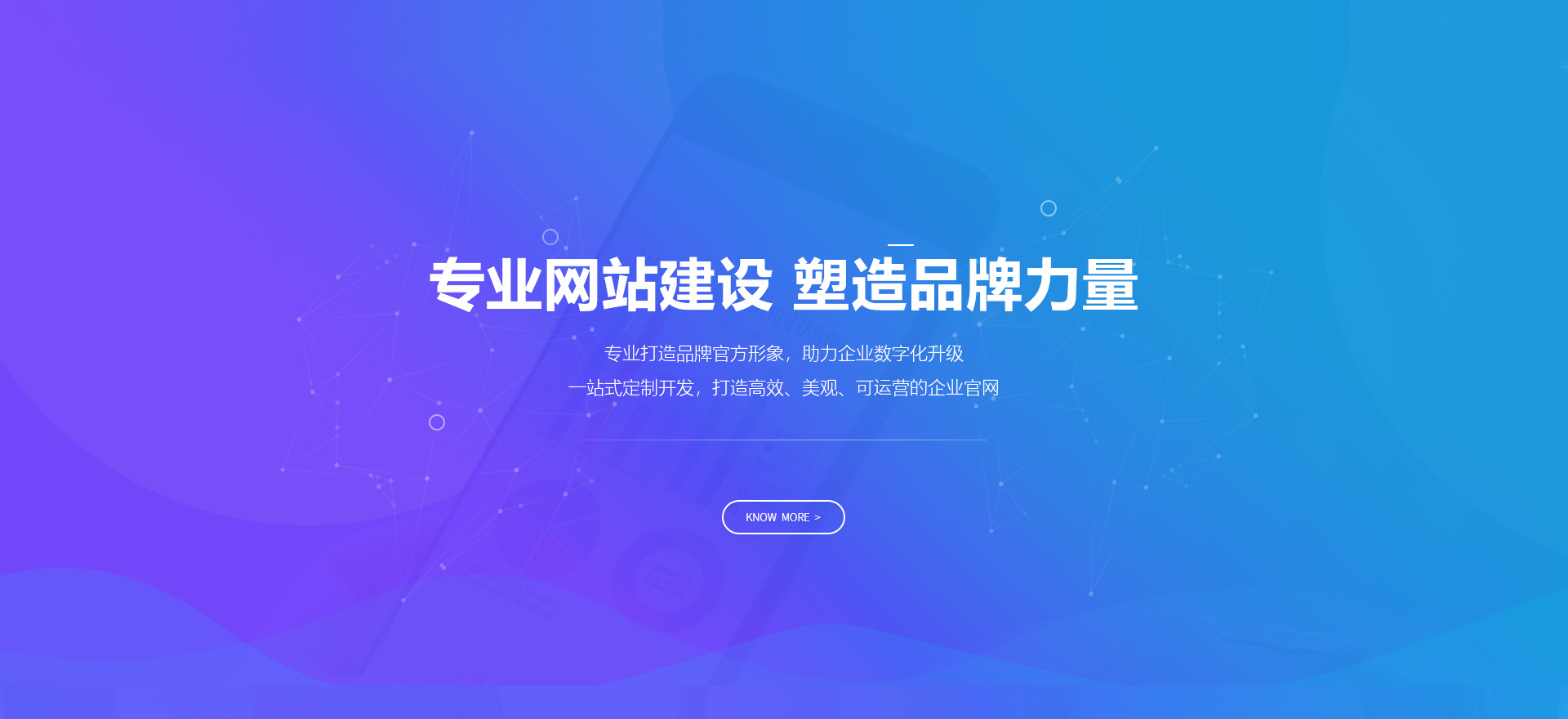 日照建站-专业网站建设 塑造品牌力量