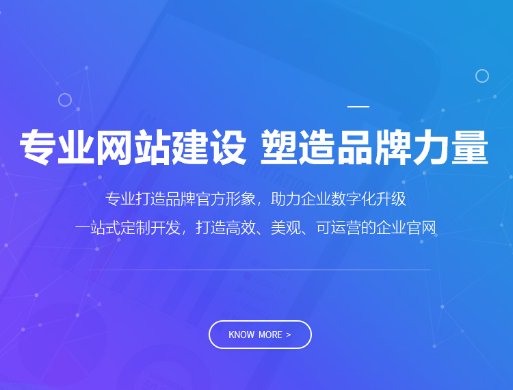 日照建站-专业网站建设 塑造品牌力量